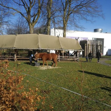 Woody B&B Jelling Esterno foto